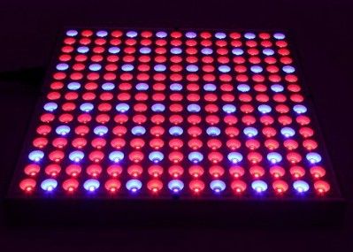 38W 0.5m2/0.3m Hydroponics Led Grow Lights 45W Flat Panel Indoor Plants