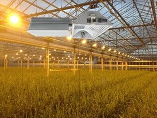 155lm/w 160000lm Indoor Grow Lights , 1000W HPS Grow Lights