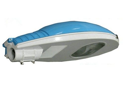 80lm/W HID Lamp 100W Blue Whale Electronic Ballast 24000hrs Life Metal Halide