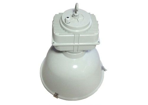 80lm/W HPS Industrial Led Grow Lights , 250W Xenon Lamp Die Casting Aluminum