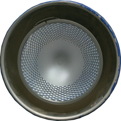 70W 7000K Shopping Mall Lighting Blue Pendant Luminaire Fresh Food Area
