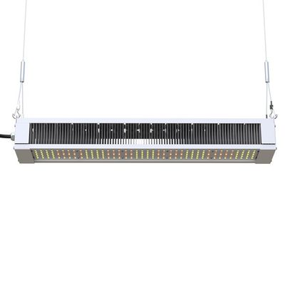 RikoLite 240W Full Spectrum LED Grow Light Slim Bar , AL1100 Horticulture LED Grow Lights