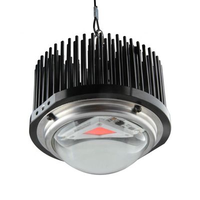 50W DOB Homemade Led Grow Lights , Cob 1M2 Full Spectrum Grow Light Kits