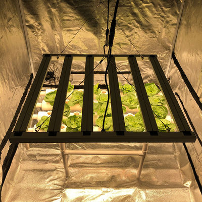 35 Centigrade Horticulture Led Grow Lights 480W 6 Pillar 2.6μMol/J Lights Bar