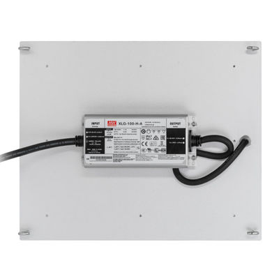 RikoLite 100W 277vac Hydroponics Led Grow Lights Quantum Board 167.3umol/S