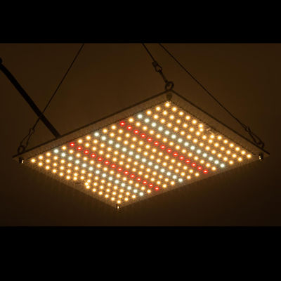 RikoLite 100W 277vac Hydroponics Led Grow Lights Quantum Board 167.3umol/S