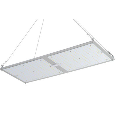 Rikolite 200w Medicinal Plant Indoor Cultivation Quantum Board hydroponic growing systems