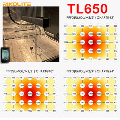 TL650 PAR 1755umol/S Greenhouse Led Grow Lights 630W For Veg / Flower