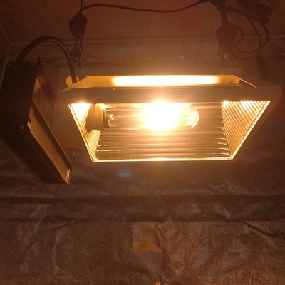 Air PAR Plus CMH 150W Horizontal Grow Light Fixture For 2X2 Grow Tent