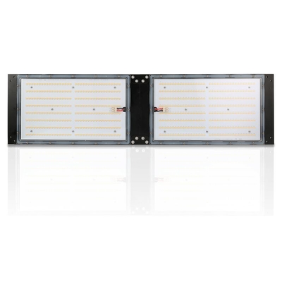 Waterproof IP65 LED Herb Grow Light 240W SAMSUNG Quantum Board For Agricultural