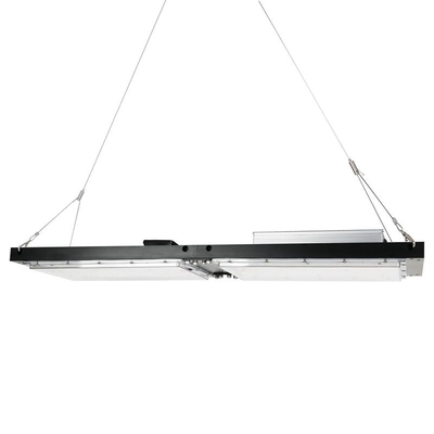 Waterproof IP65 LED Herb Grow Light 240W SAMSUNG Quantum Board For Agricultural