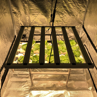 Driver Free Full Spectrum LED Grow Lights 600w Ballast Compatible For Agriculture
