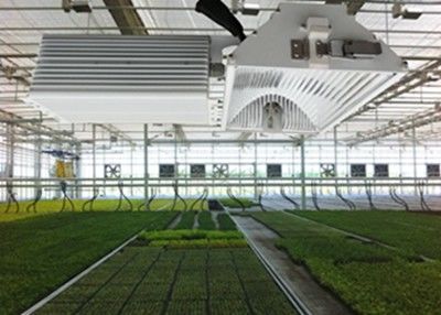 1050µMol/S HID LED Grow Lights , 630W Crops Ceramic Metal Halide Grow Light
