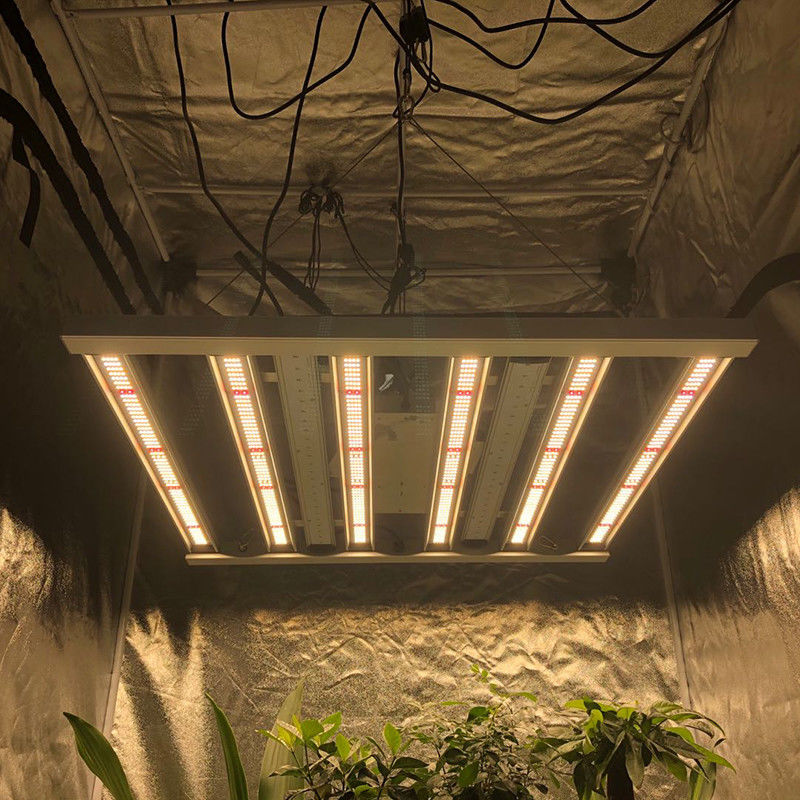 35 Centigrade Horticulture Led Grow Lights 480W 6 Pillar 2.6μMol/J Lights Bar